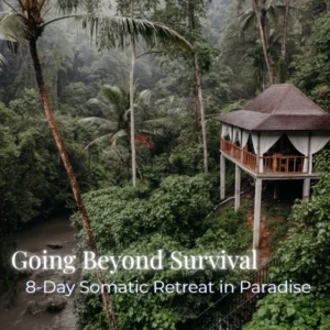 Going Beyond Survival - Bali Retreat - feature image
