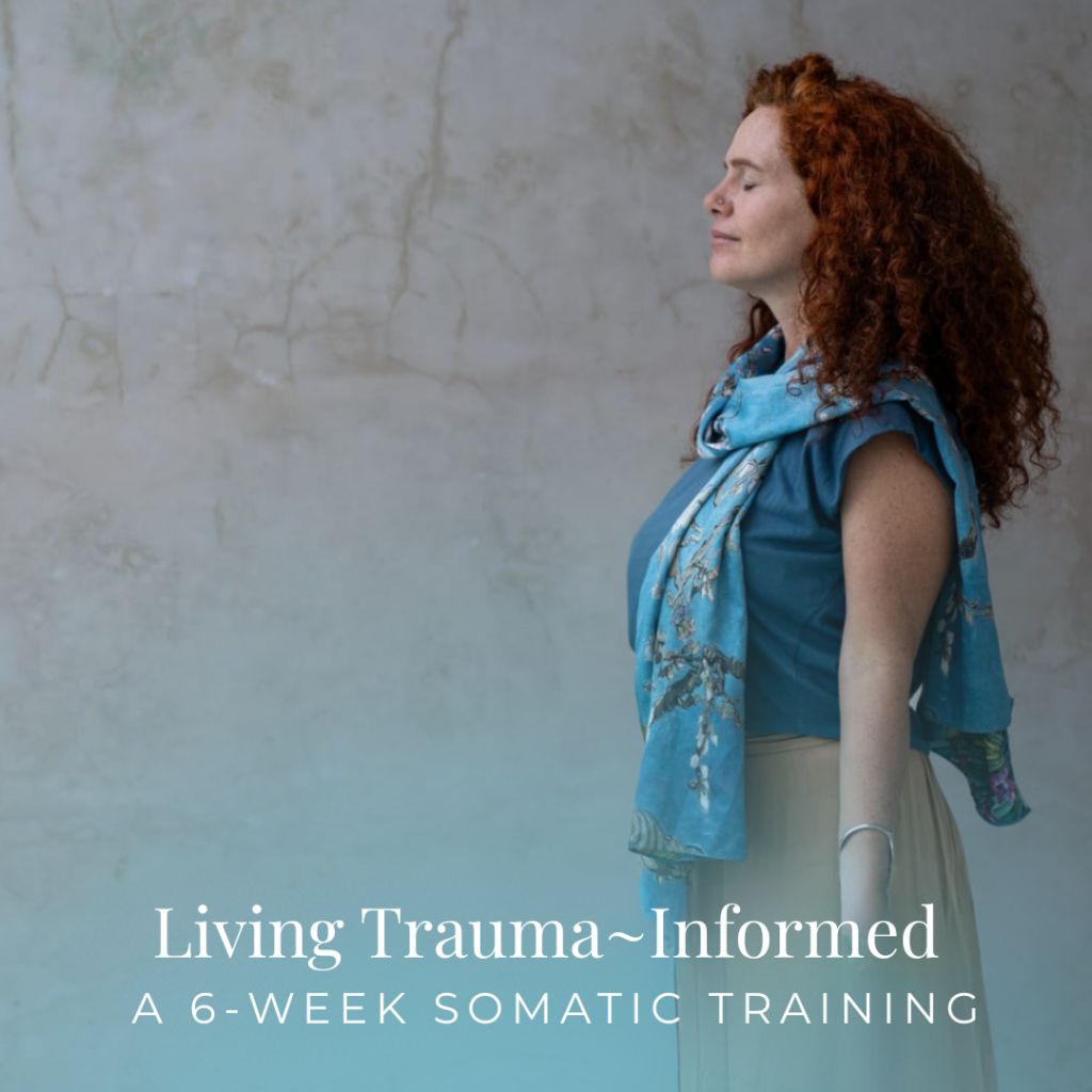 Living Trauma~Informed: 6~Week Foundational Somatic Training