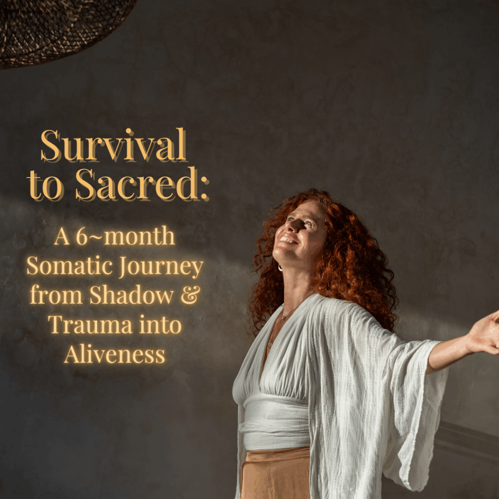 Jan 20 ~ June 30, 2026: Somatic Integration of Shadow & Trauma Without the Bypass