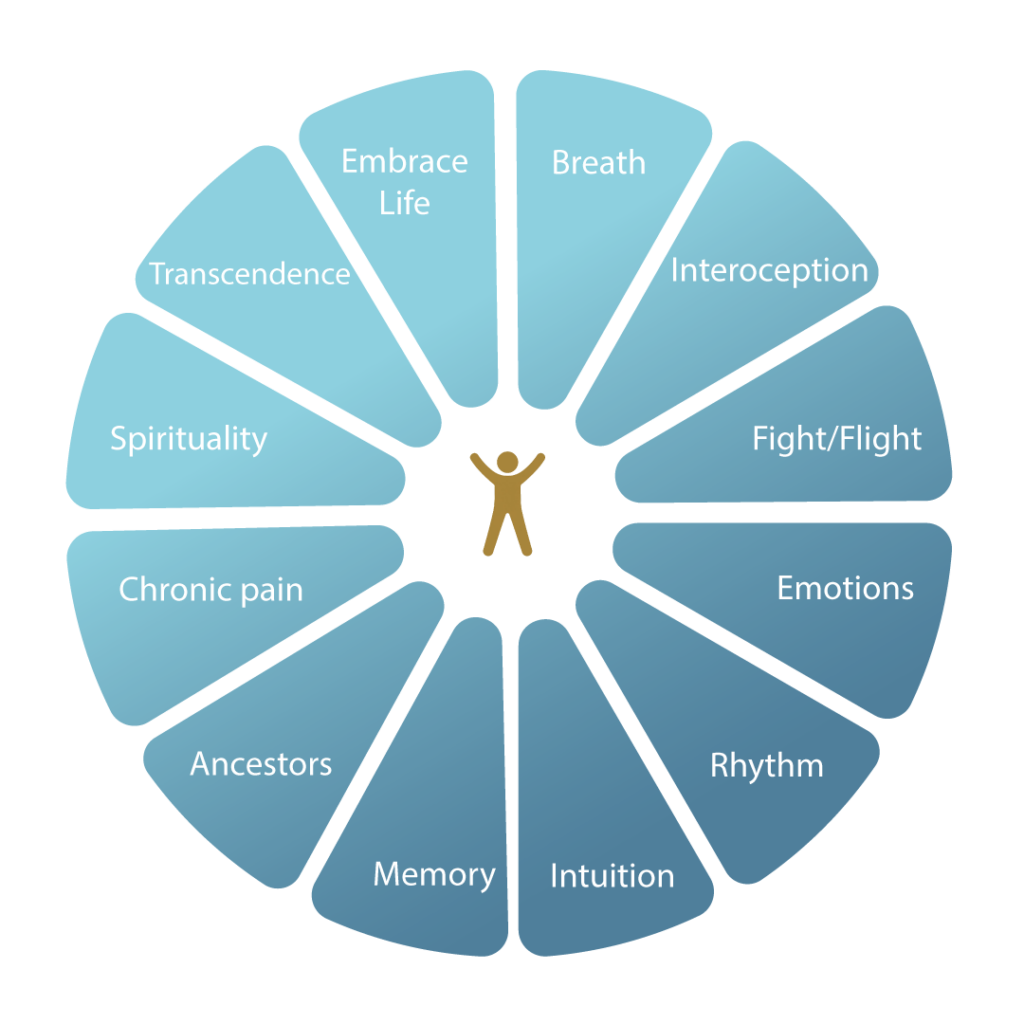 12-Month Somatic Training