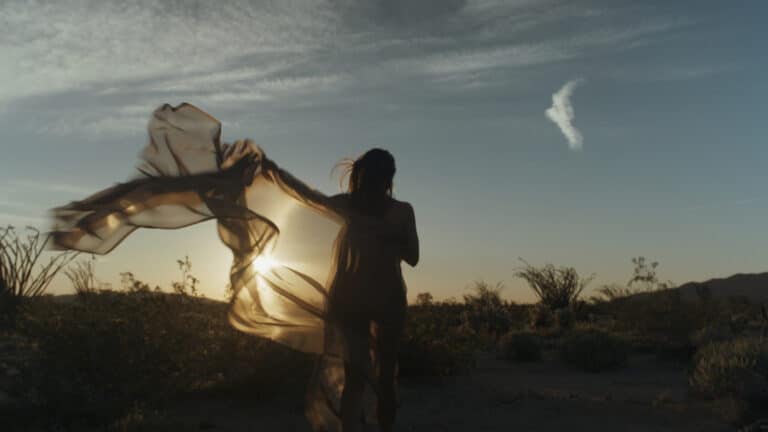 embodied healing beyond bypassing