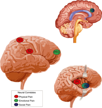 MAY2025-POSTURE MATTERS-03a