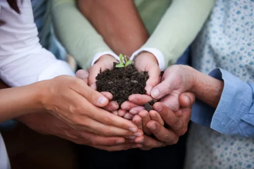 module 8 - ancestors